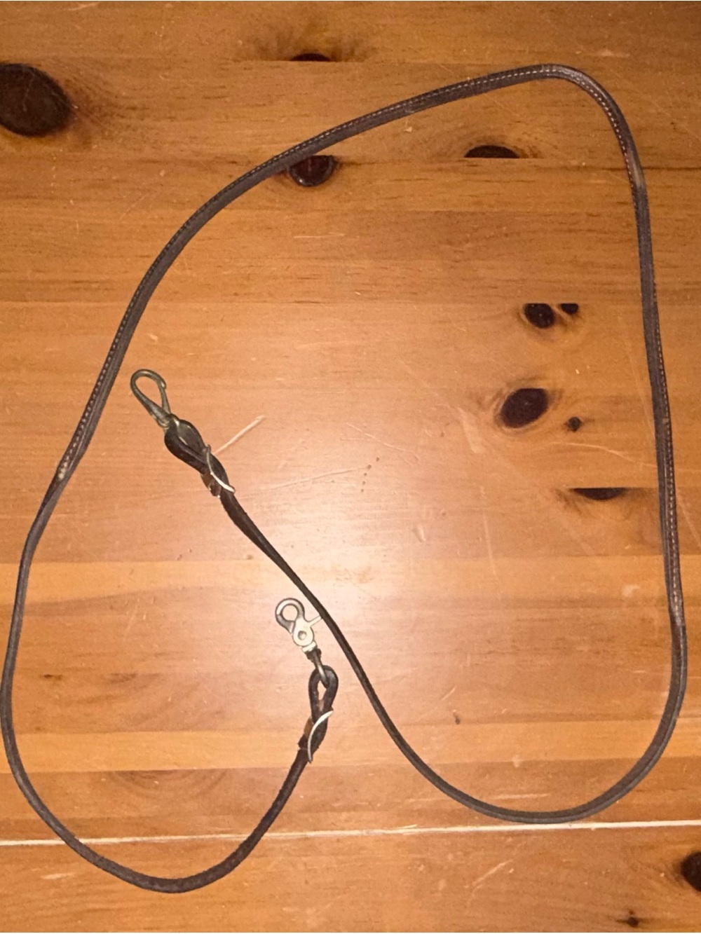 Brown Leather Reins